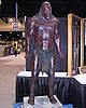 IMG_0079.JPG
