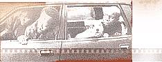manifest-reel25.jpg