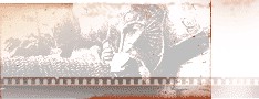 click for next image