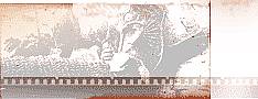 manifest-reel40.jpg