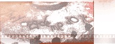 click for next image